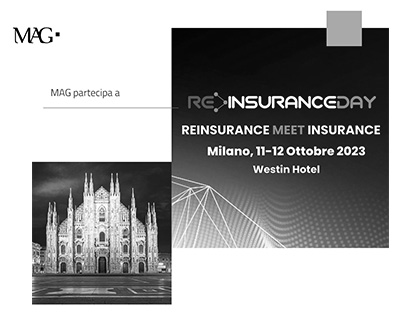 sito REINSURANCE 800x418